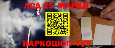 стафф Дубна