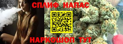 стафф Дубна