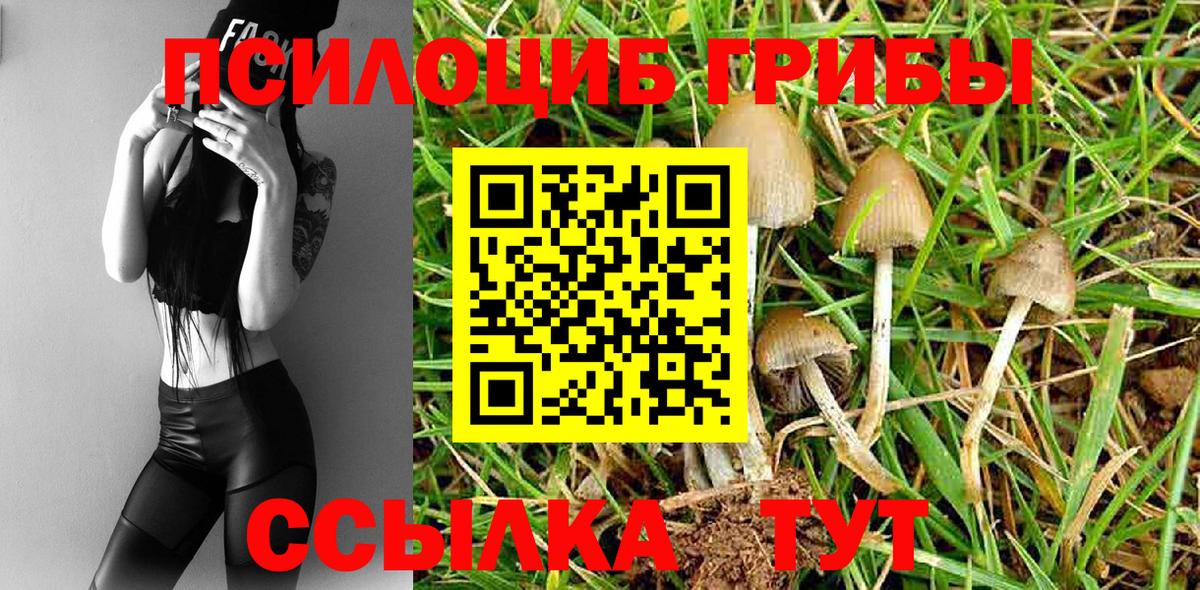 Псилоцибиновые грибы мицелий Наро-Фоминск