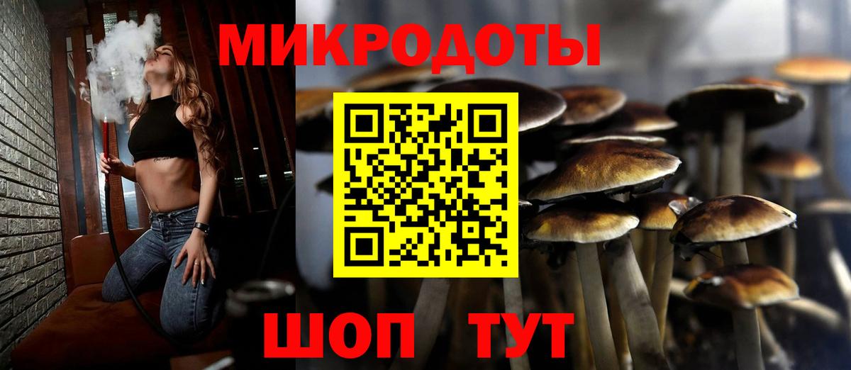 Наро-Фоминск  Галлюциногенные грибы MAGIC MUSHROOMS  Вход с VPN  Псилоцибиновые грибы прущие грибы 